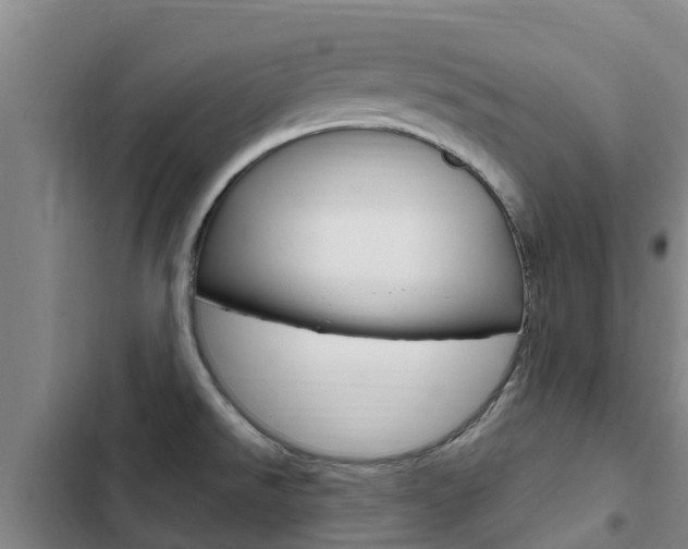 X0000103231526200808280937