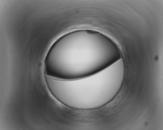 X0000103231527200808280937