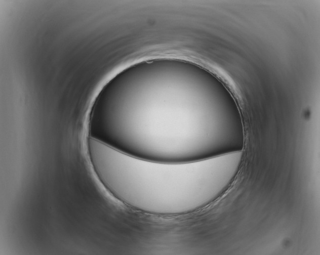 X0000103231528200808280937