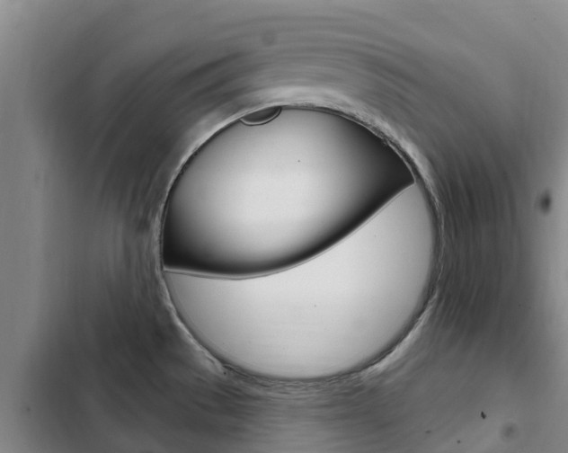 X0000103231529200808280937