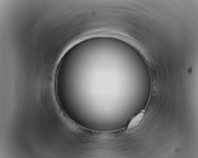 X0000103231530200808280937