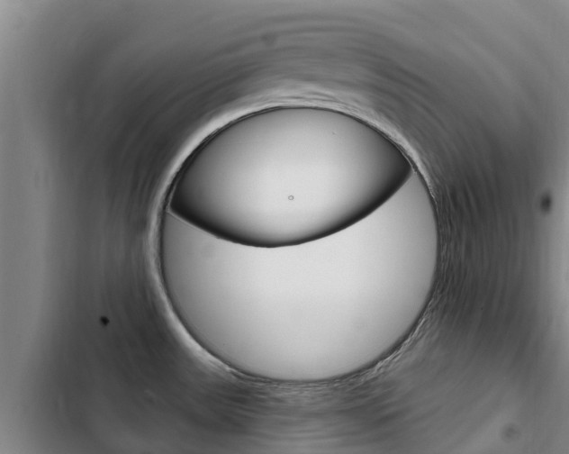 X0000103231531200808280937
