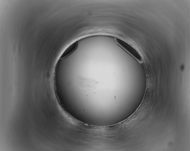 X0000103231532200808280937