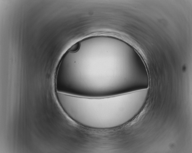 X0000103231533200808280937