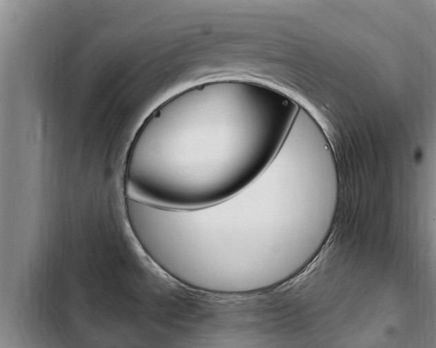 X0000103231534200808280937