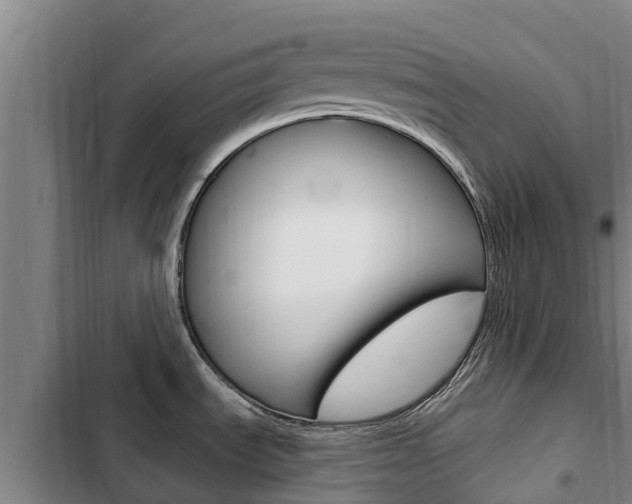 X0000103231535200808280937