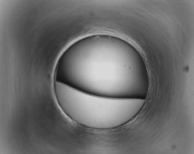 X0000103231536200808280937
