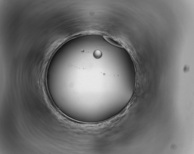 X0000103230001200808281441