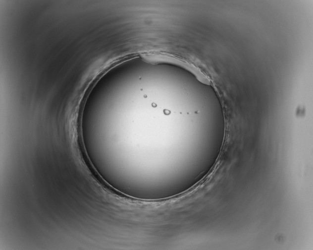 X0000103230002200808281441