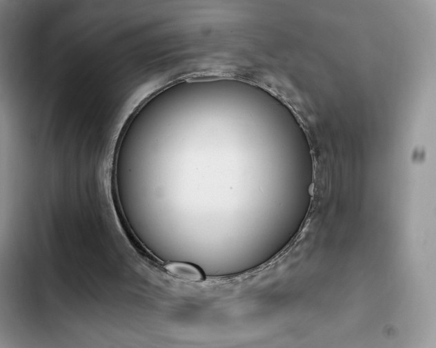 X0000103230003200808281441