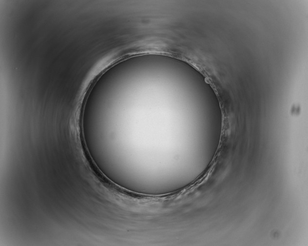 X0000103230004200808281441