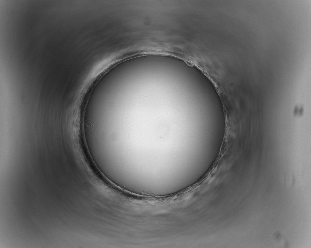 X0000103230005200808281441