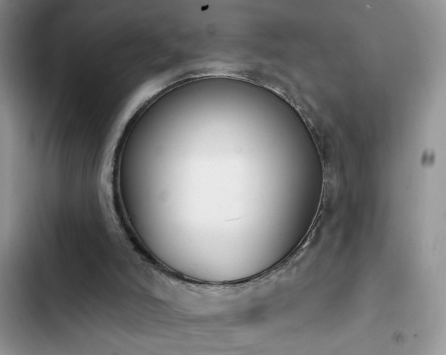 X0000103230006200808281441