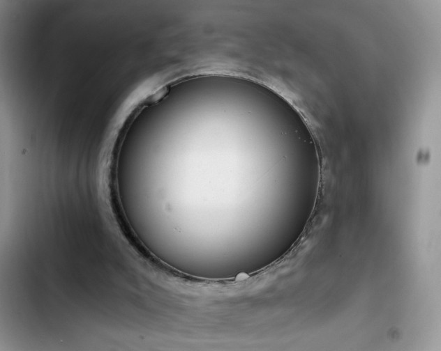 X0000103230007200808281441