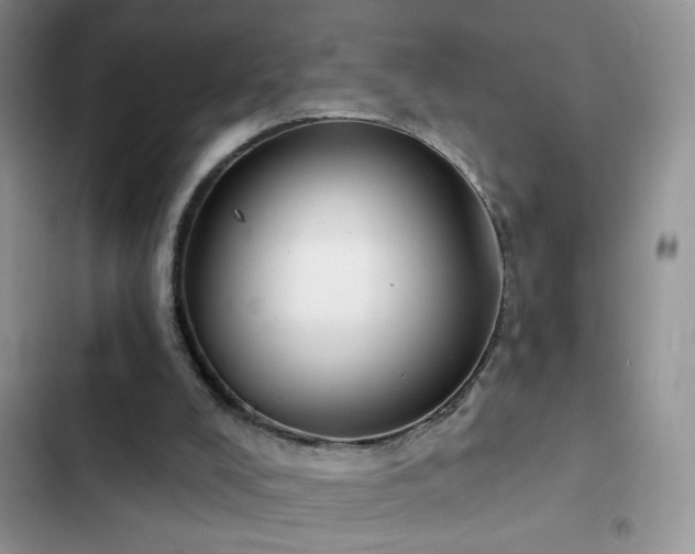 X0000103230008200808281441