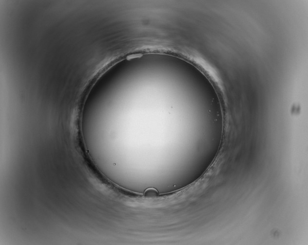 X0000103230009200808281441