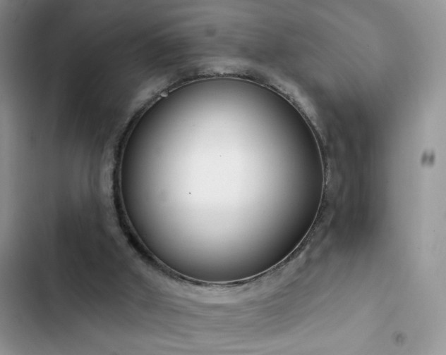 X0000103230010200808281441