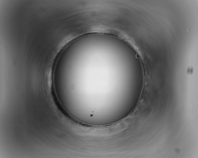 X0000103230011200808281441