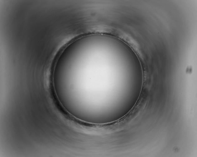X0000103230012200808281441