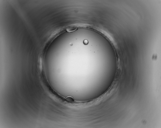 X0000103230013200808281441