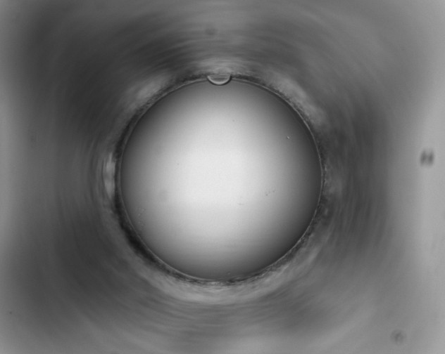 X0000103230014200808281441