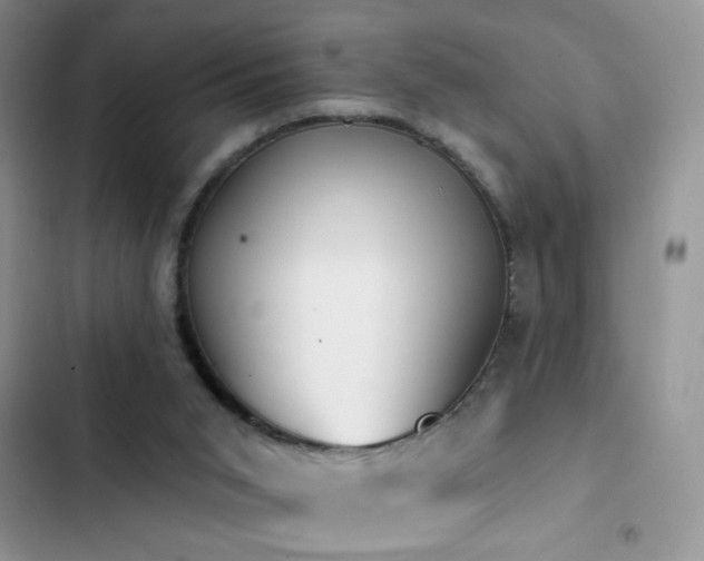 X0000103230015200808281441