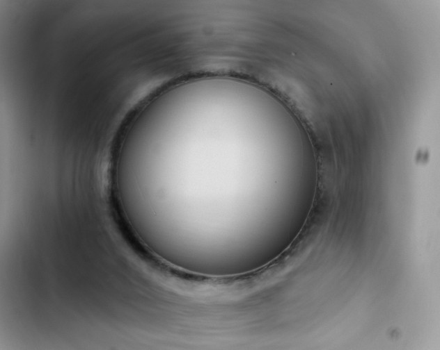 X0000103230016200808281441