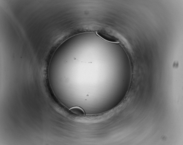 X0000103230017200808281441