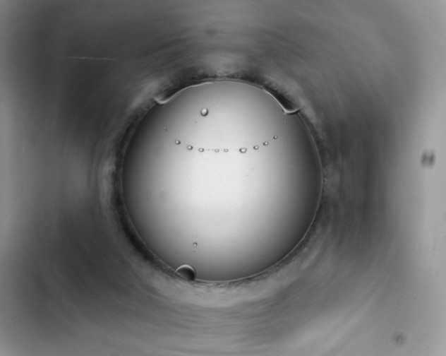 X0000103230018200808281441
