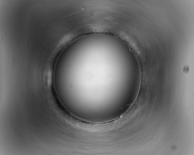 X0000103230019200808281441