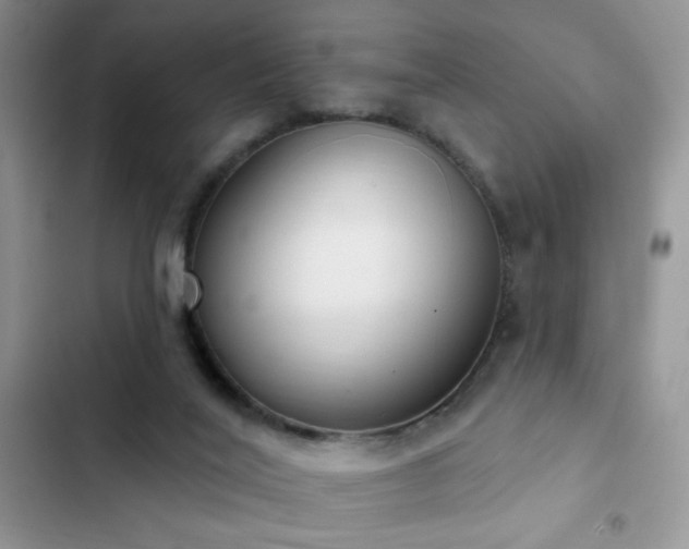 X0000103230020200808281441