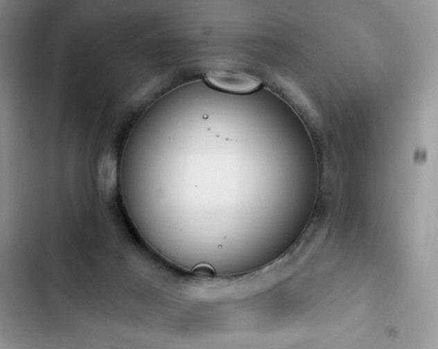 X0000103230021200808281441