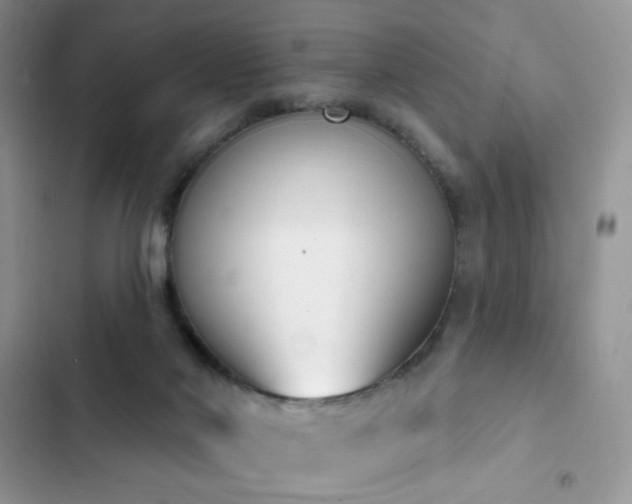 X0000103230022200808281441
