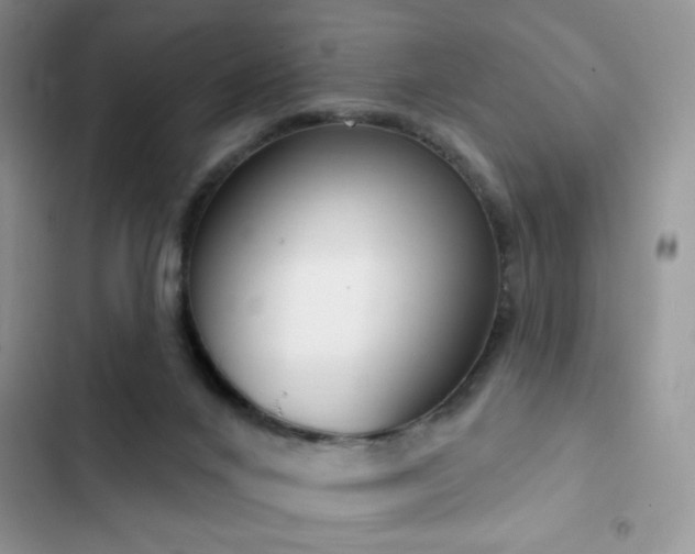 X0000103230024200808281441