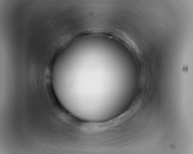 X0000103230025200808281441