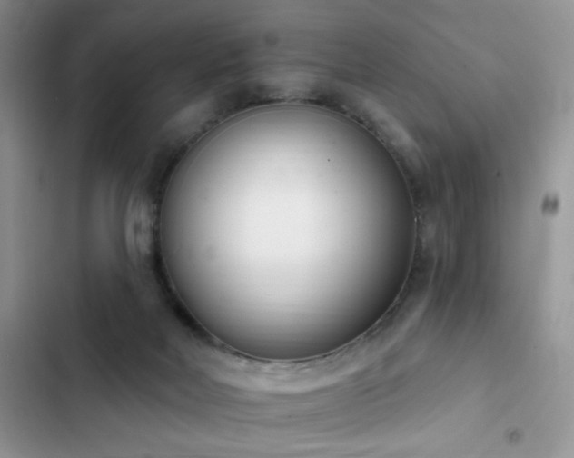 X0000103230026200808281441