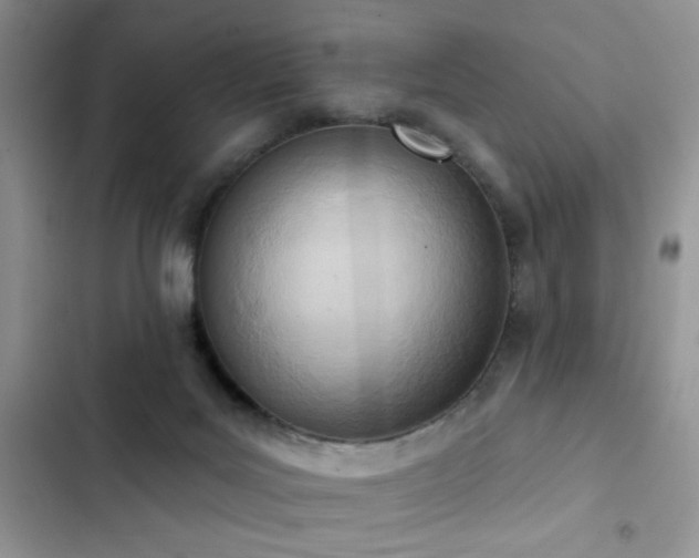 X0000103230027200808281441