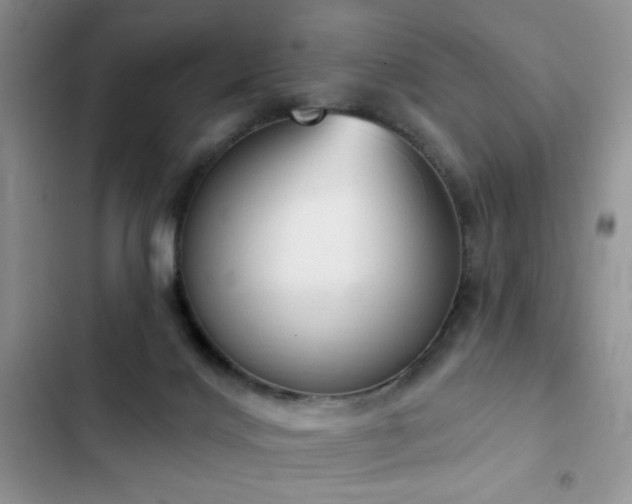 X0000103230028200808281441