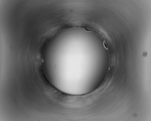 X0000103230029200808281441