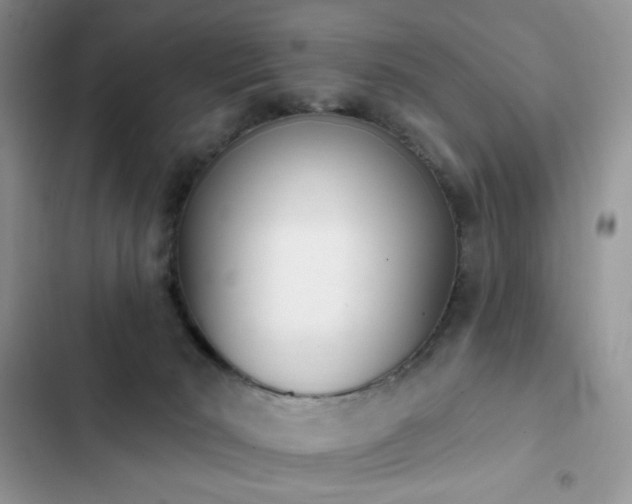 X0000103230030200808281441