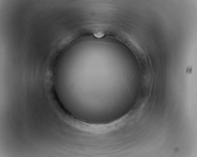 X0000103230031200808281441