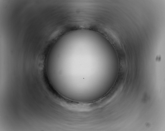 X0000103230032200808281441