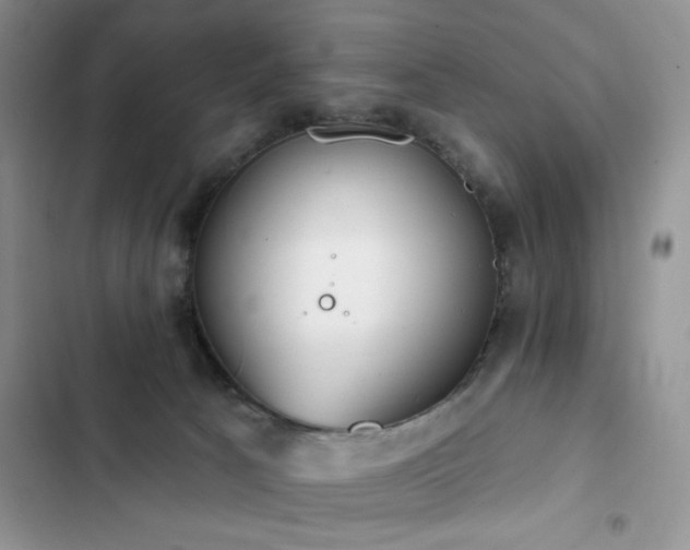 X0000103230033200808281441