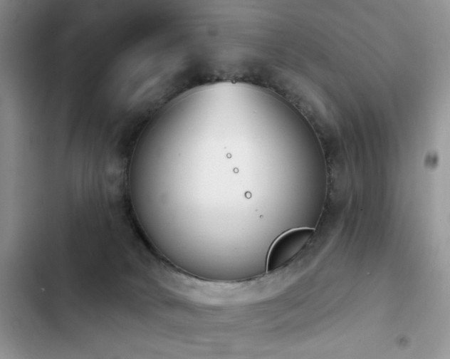 X0000103230034200808281441