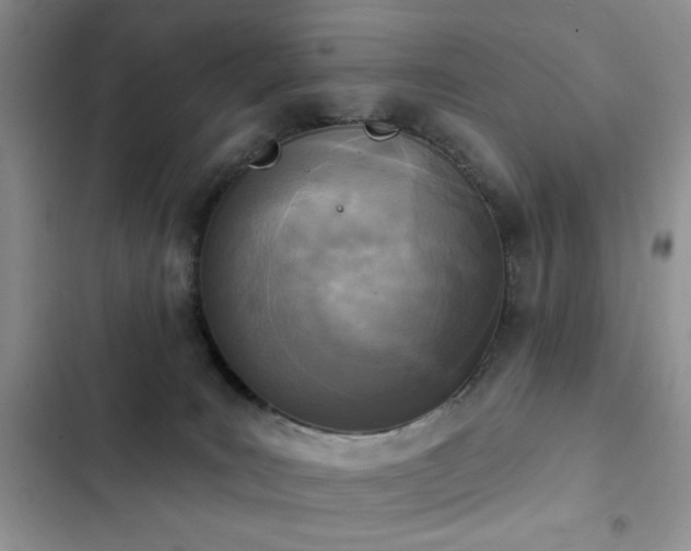 X0000103230035200808281441