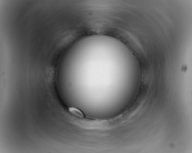 X0000103230036200808281441