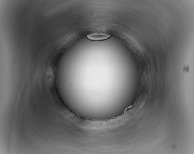 X0000103230037200808281441