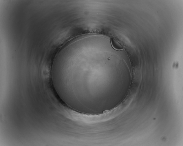 X0000103230039200808281441