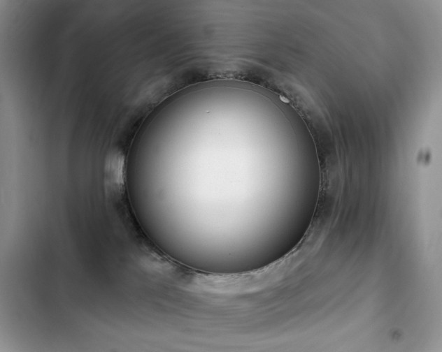 X0000103230041200808281441