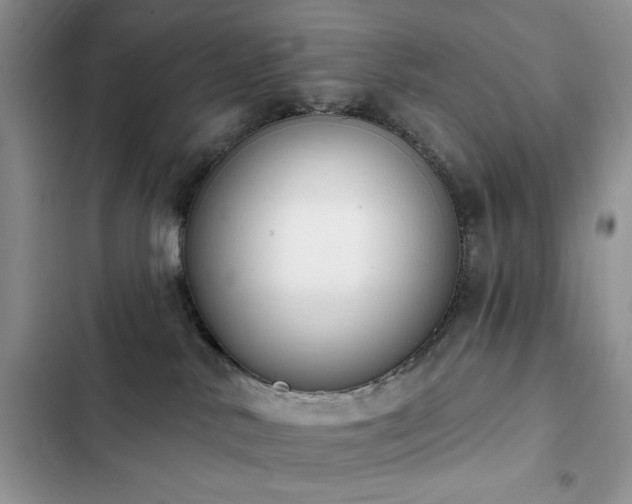 X0000103230042200808281441